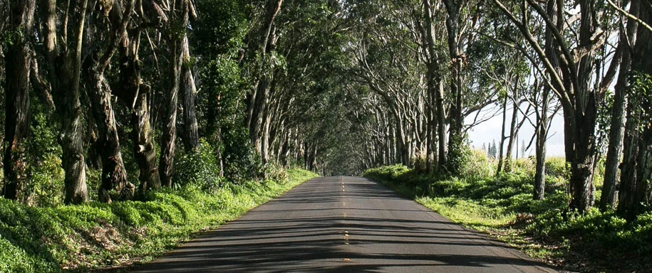 Eco-Friendly Green Auto Repair! Simi Valley